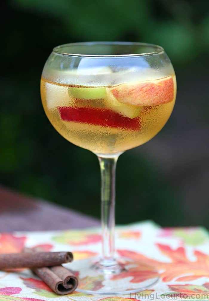 Fall Sangria Recipe in Wine Glass Fall Sangria Recipe in Wine Glass