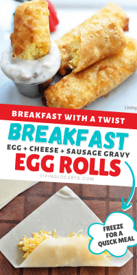 Easy Breakfast Egg Rolls Recipe