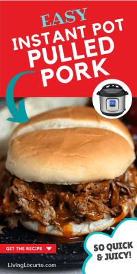 Instant Pot Pulled Pork barbecue sandwich