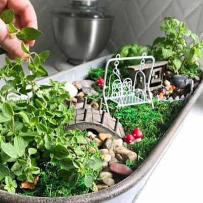 How to make a fairy garden for kitchen