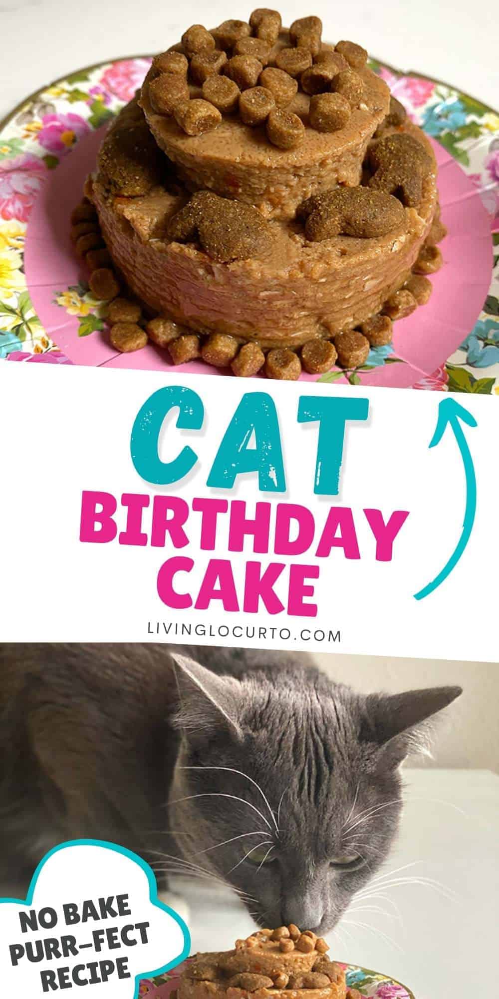 Cat Birthday Cake Recipe Cat Birthday Cake