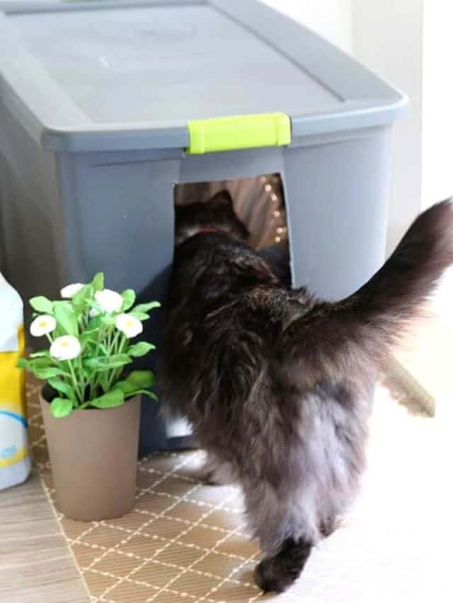Hidden Cat Litter Box