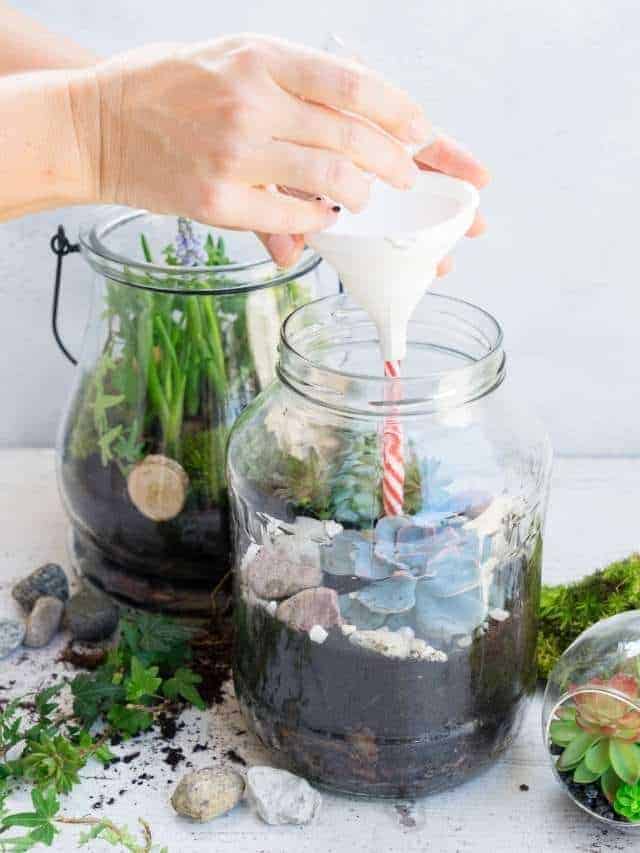 Mason Jar Home Decor Craft Ideas Story