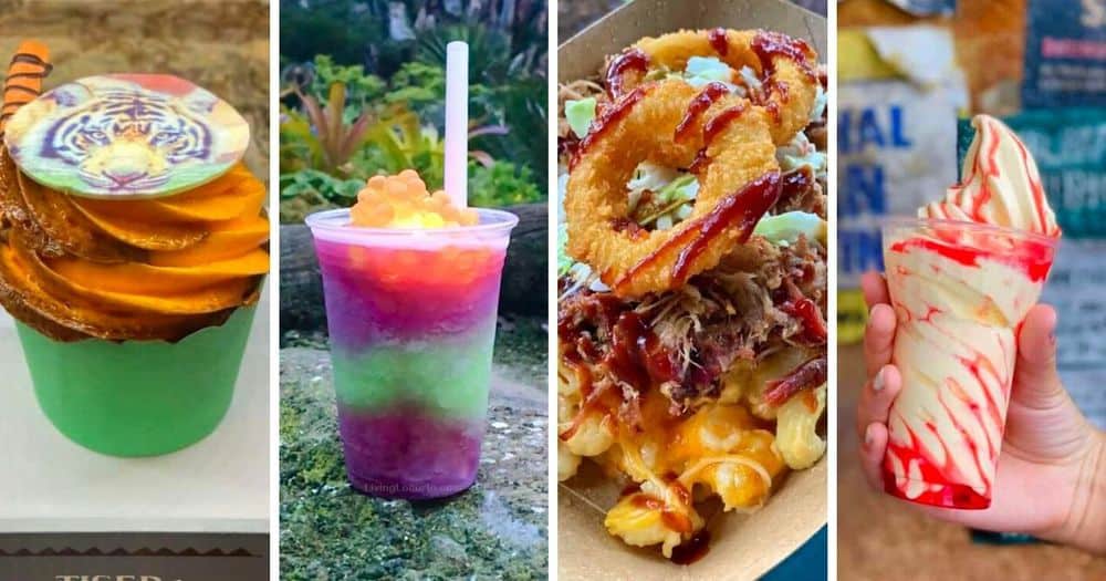 10 Best Snacks at Disney’s Animal Kingdom Living Locurto Bloglovin’
