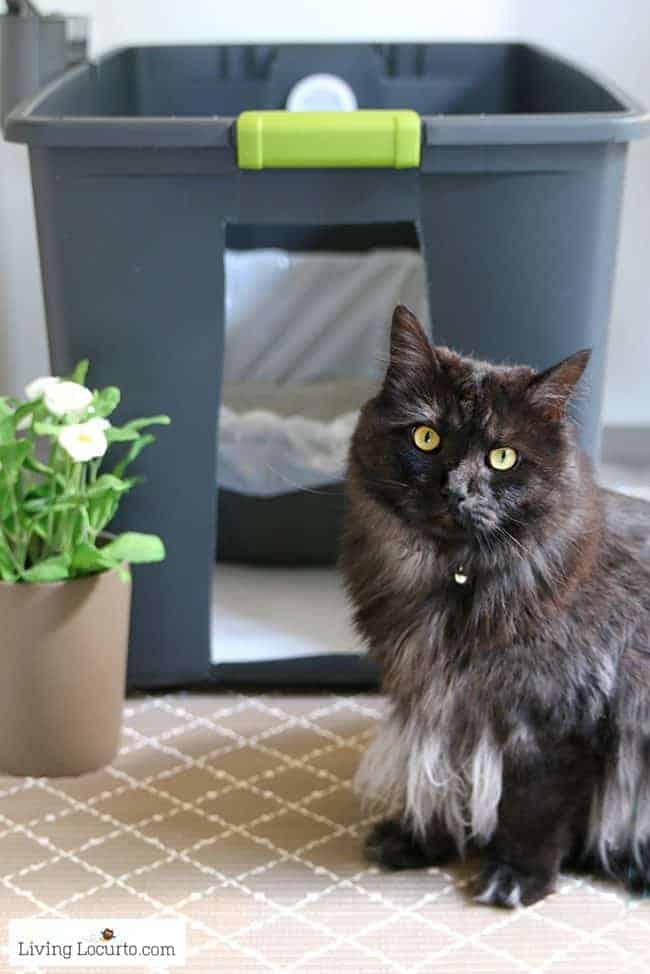 DIY Cat Litter Box Holder