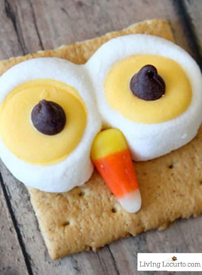 Owl S’mores