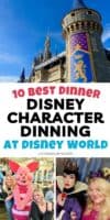 Best Disney World Character Dining for Dinner
