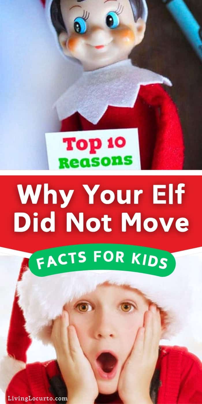 Top 10 Reasons Why Your Elf on the Shelf Did Not Move 1 Top 10 Reasons Why Your Elf on the Shelf Did Not Move