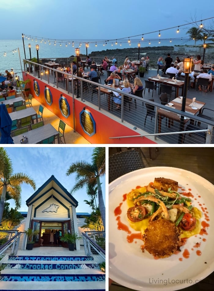 15 Unforgettable Things to Do in Grand Cayman 2 Cracked Conch - Things to Do on 7 Mile Beach in Grand Cayman