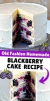Easy Blackberry Cake recipe with cream cheese frosting made with fresh blackberries.