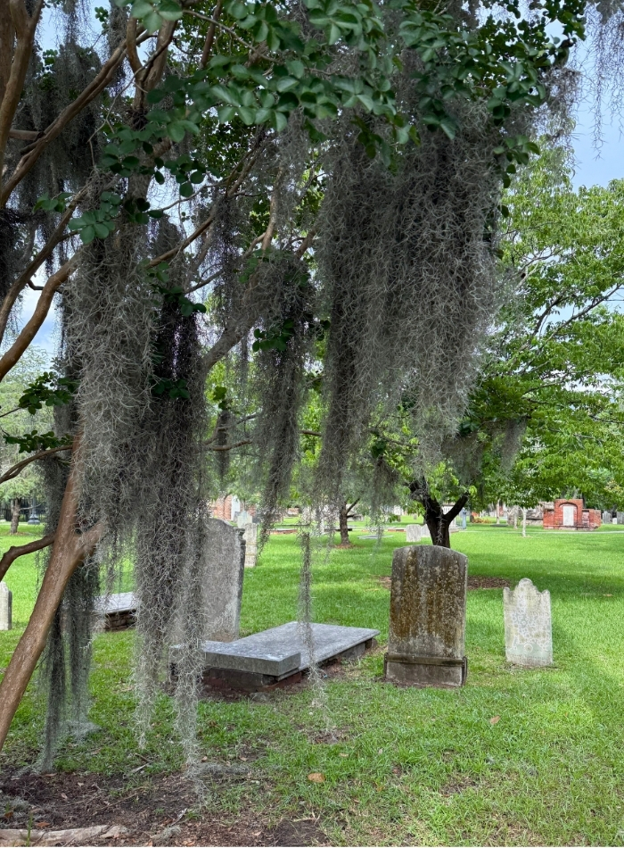 Self-Guided Savannah Ghost Walk Tour 8 Colonial Park Cemetery ghost walk tour