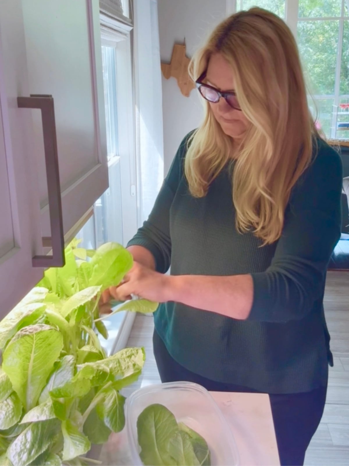 woman in kitchen harvesting lettuce from an indoor garden