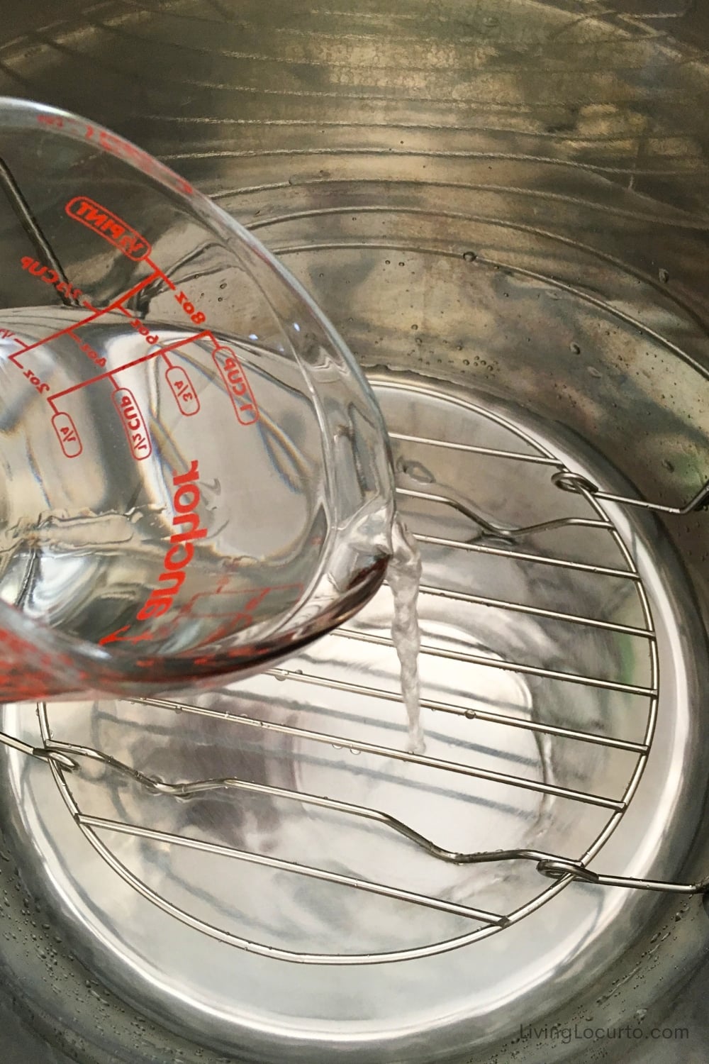 Copycat Cheesecake Factory Cheesecake 10 pouring water into an instant pot