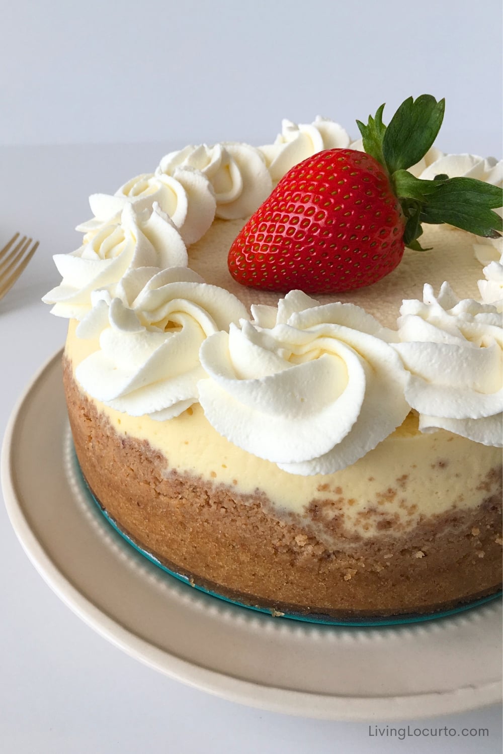 Copycat Cheesecake Factory Cheesecake 1 Copycat Cheesecake Factory Cheesecake Instant Pot Recipe on a plate