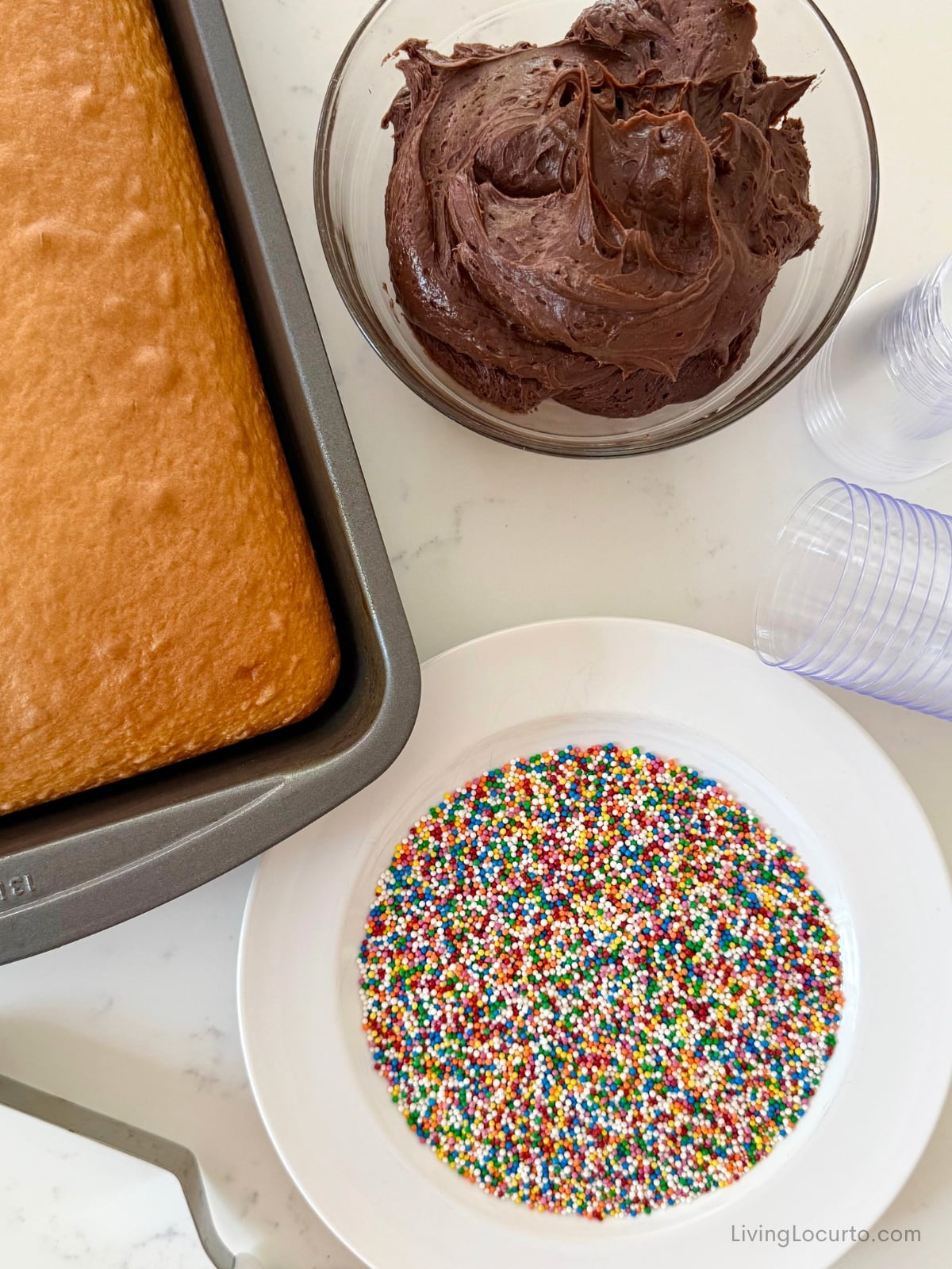 Mini Dot Cakes (Dot Shots) 7 Yellow cake in a pan. Bowl of chocolate frosting and rainbow sprinkles on a white plate.