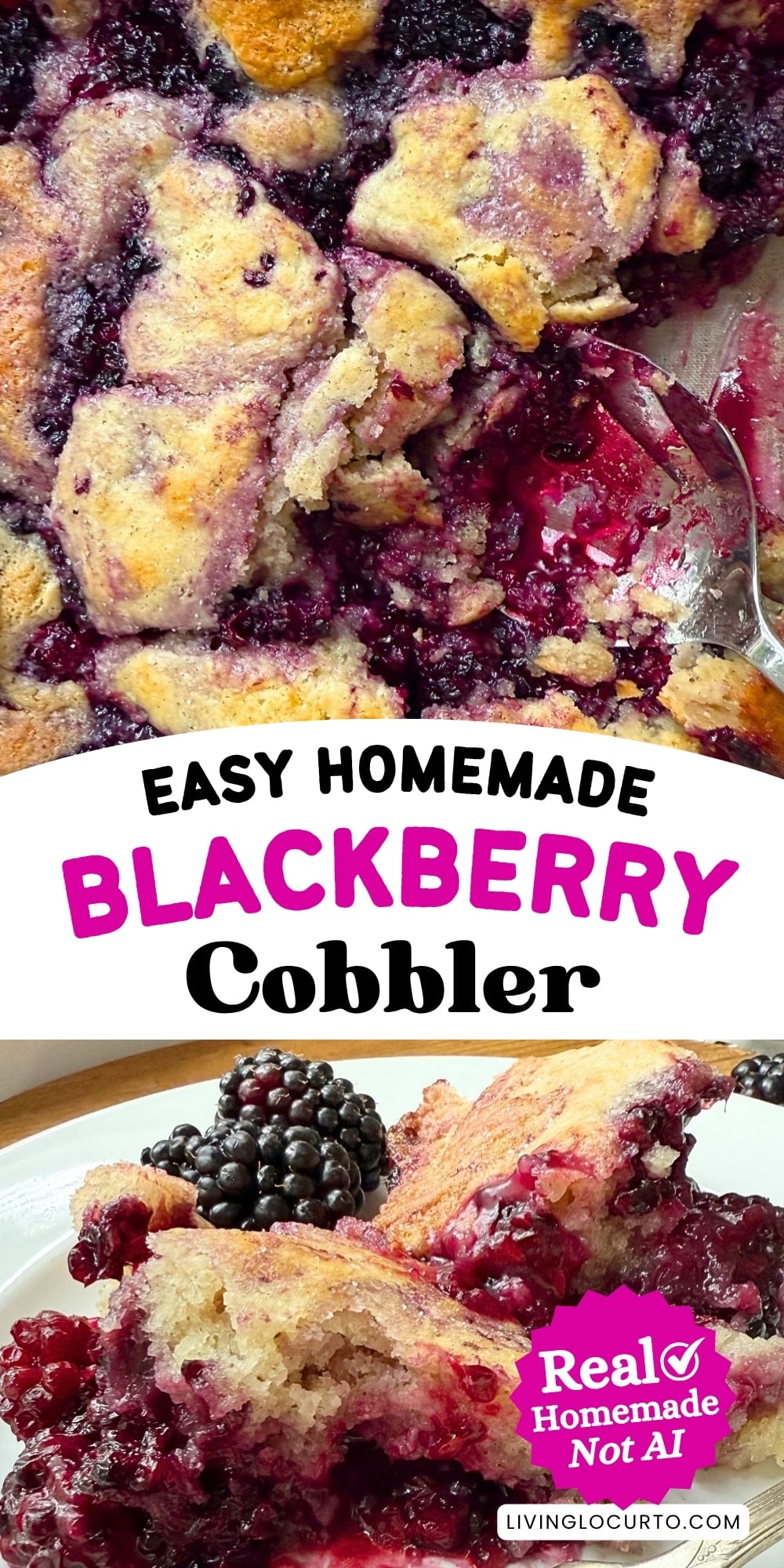Bake the ultimate easy spiced blackberry cobbler using Bisquick