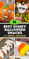 11 Cutest Disney Halloween Snacks at Animal Kingdom