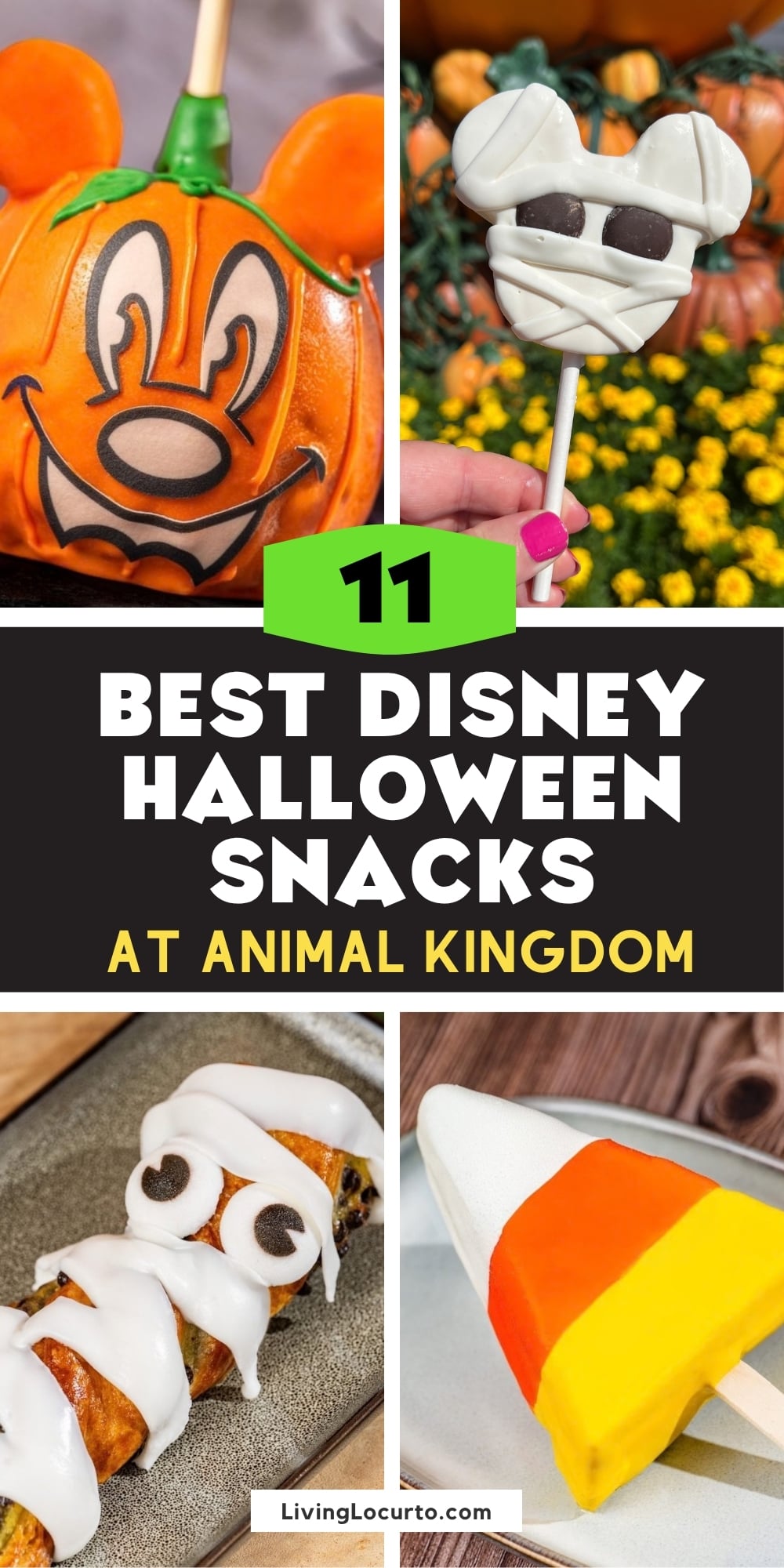 11 Best Disney Halloween Snacks at Animal Kingdom 2 11 Cutest Disney Halloween Snacks at Animal Kingdom
