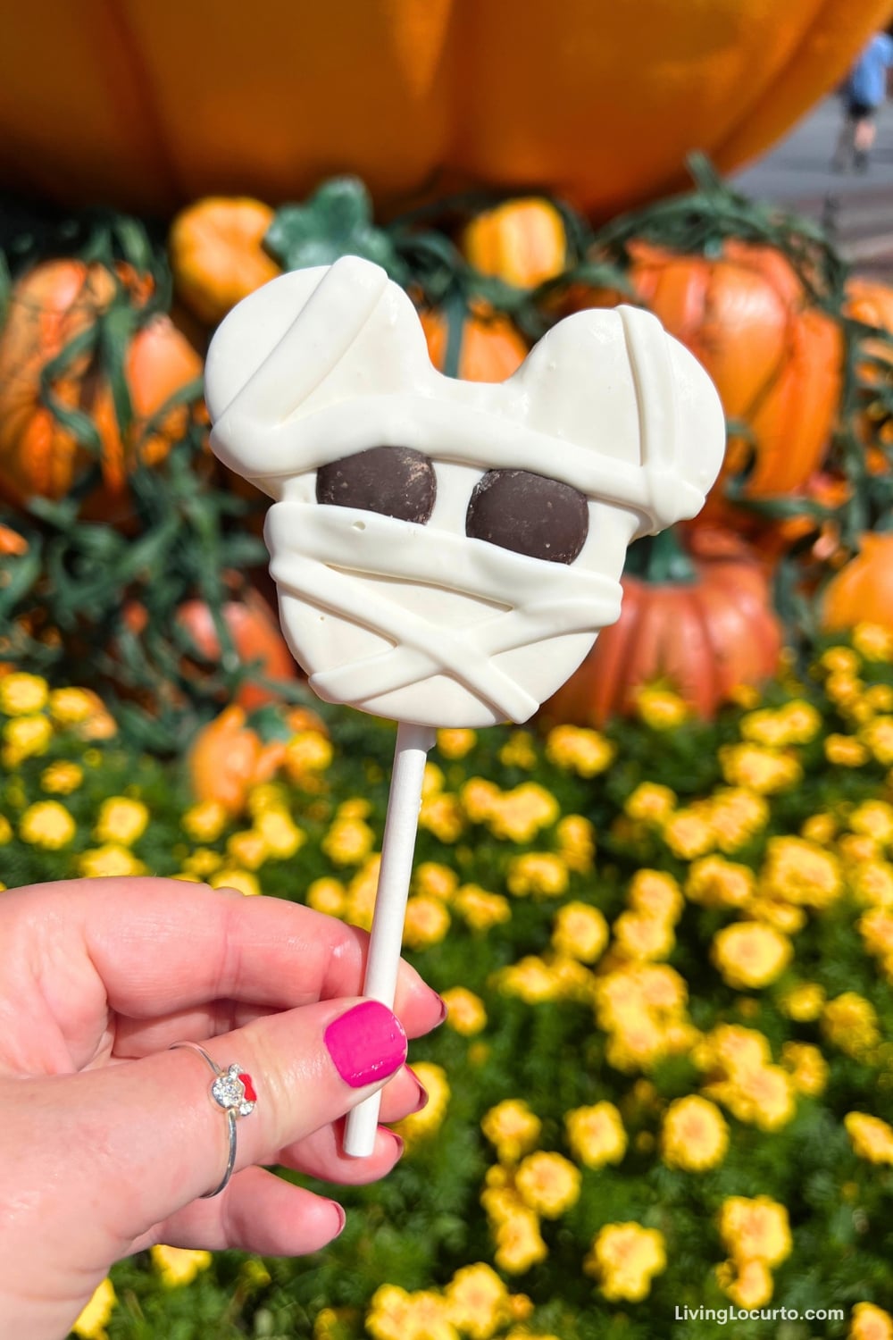 11 Best Disney Halloween Snacks at Animal Kingdom 1 Best Disney Halloween Snacks at Animal Kingdom - Mummy Pop