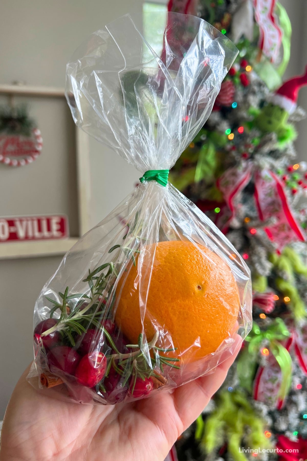 Cranberry holiday simmer pot DIY gift bag filled with fresh cranberries, an orange, cinnamon sticks, and rosemary.