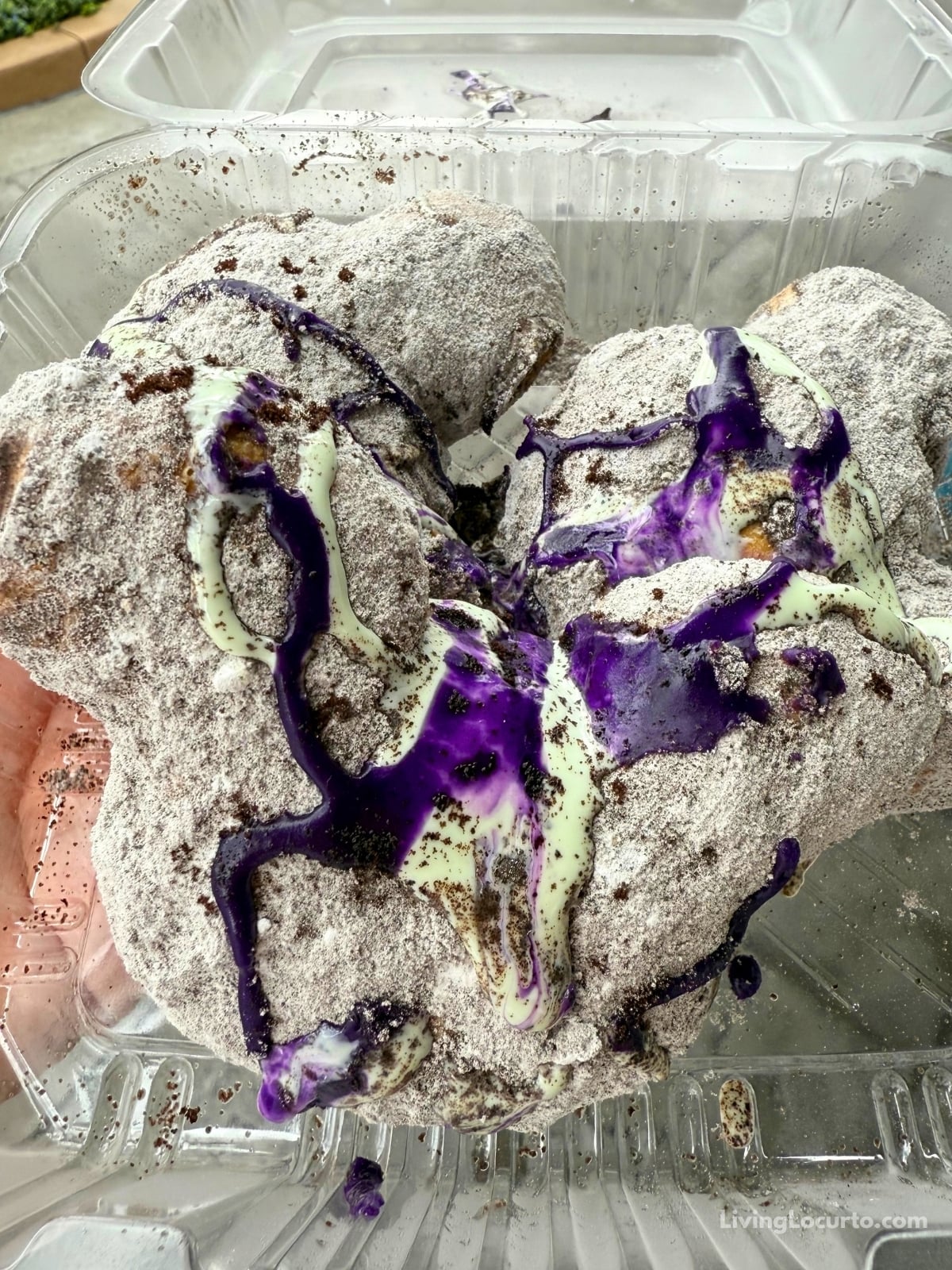 Mickey Ghoulish Beignets at Disney World 3 Mickey Ghoulish Beignets Halloween in a clear food container